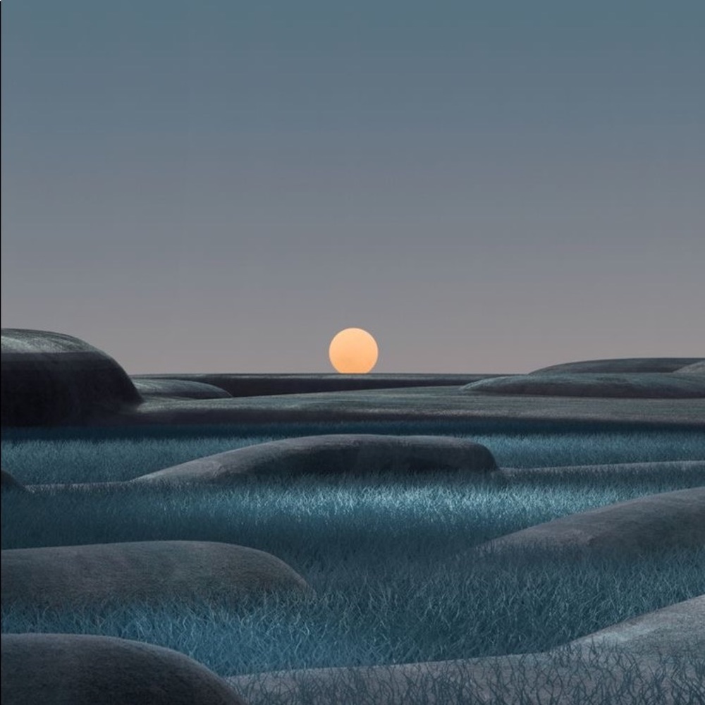 Meet your Posher, Reese